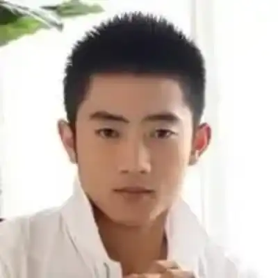 时家柳